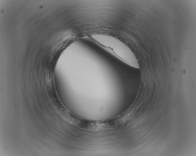 X0000076060607200610152204