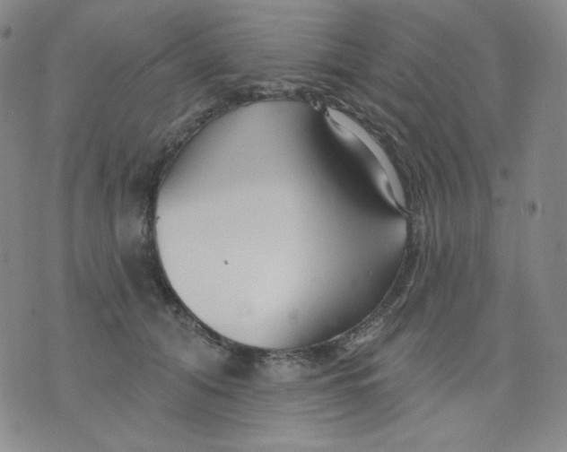 X0000076060608200610152204