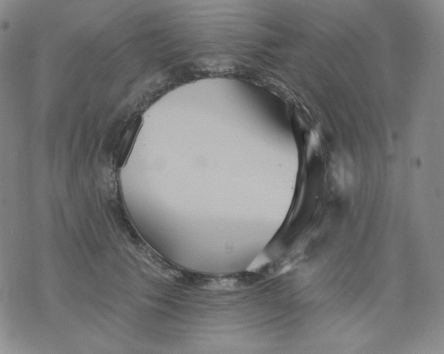 X0000076060609200610152204