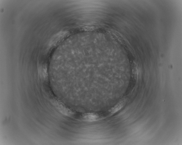 X0000076060610200610152204