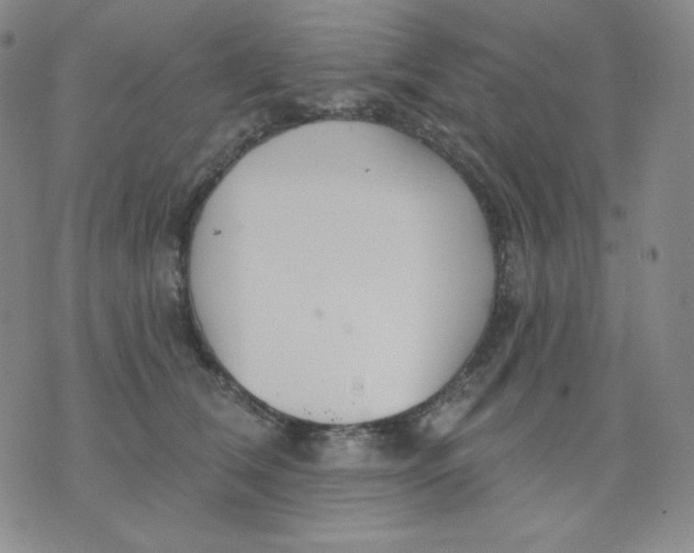 X0000076060612200610152204