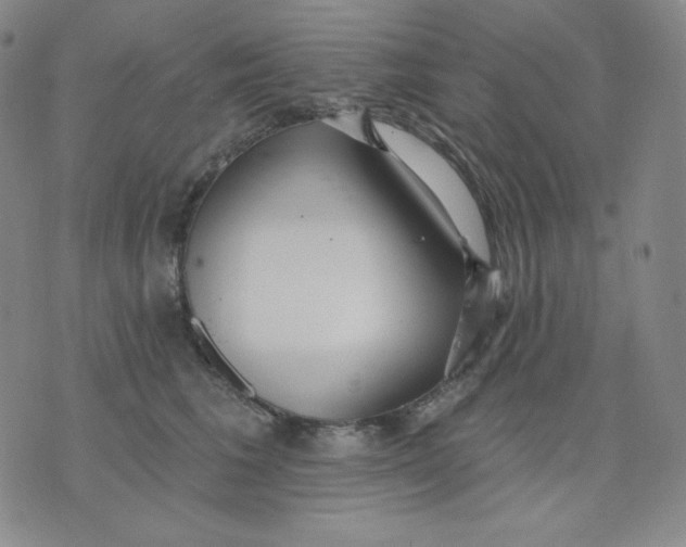 X0000076060613200610152204