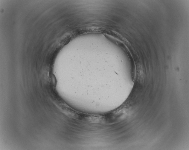 X0000076060615200610152204