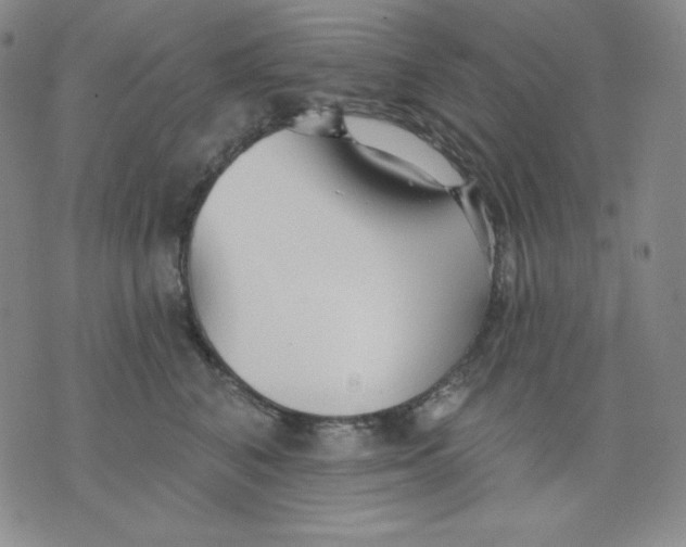 X0000076060616200610152204