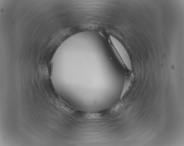 X0000076060617200610152204