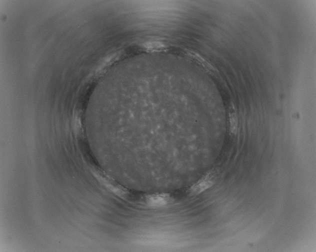 X0000076060618200610152204