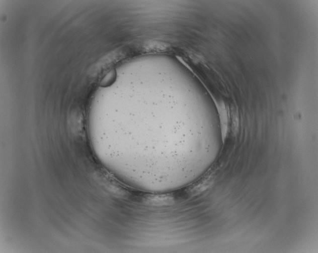 X0000076060619200610152204