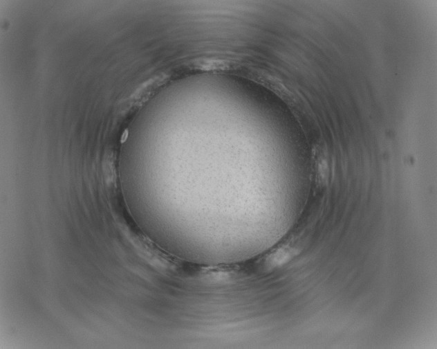 X0000076060620200610152204