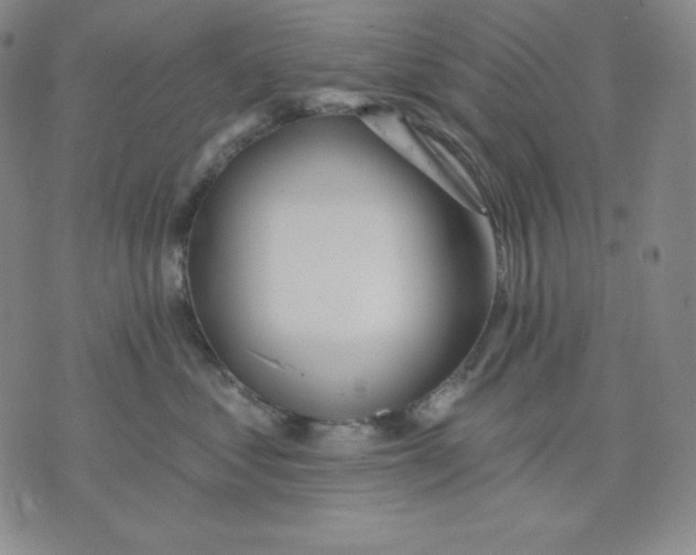 X0000076060621200610152204