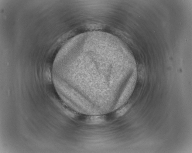 X0000076060622200610152204