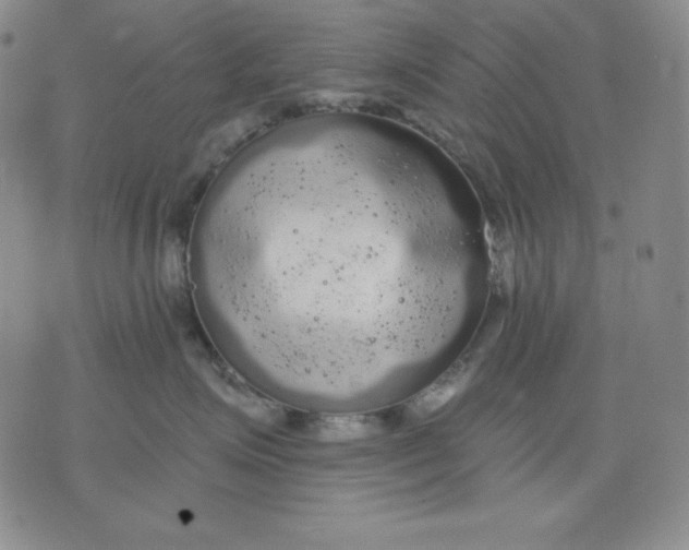 X0000076060623200610152204