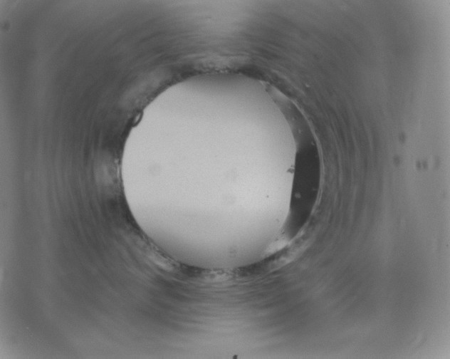 X0000076060624200610152204