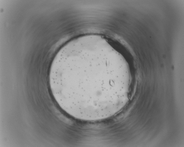 X0000076060625200610152203