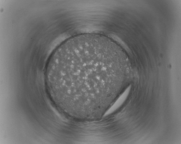 X0000076060626200610152203