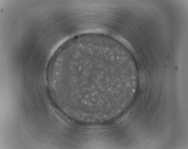 X0000076060628200610152203