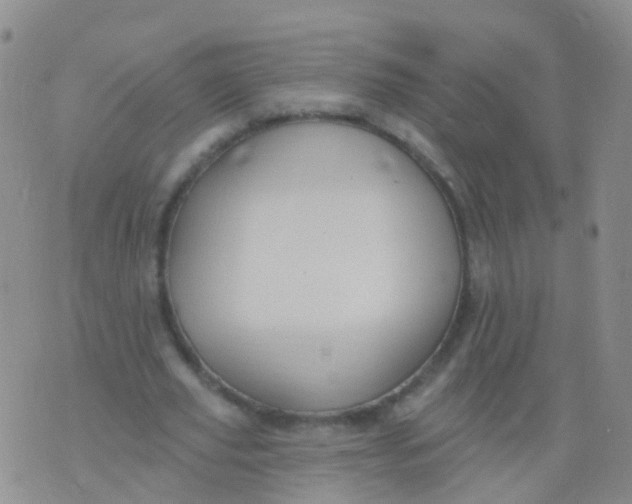 X0000076060629200610152203