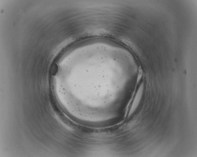 X0000076060630200610152203