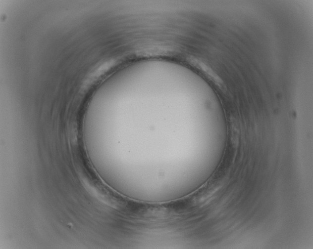 X0000076060631200610152203