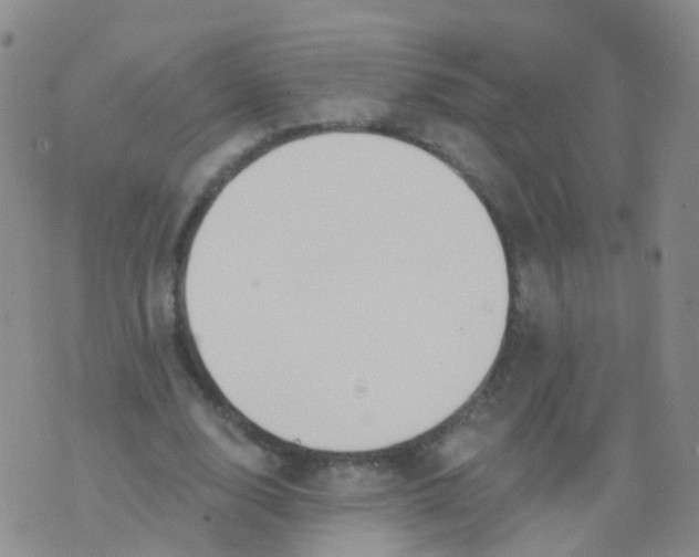 X0000076060632200610152203