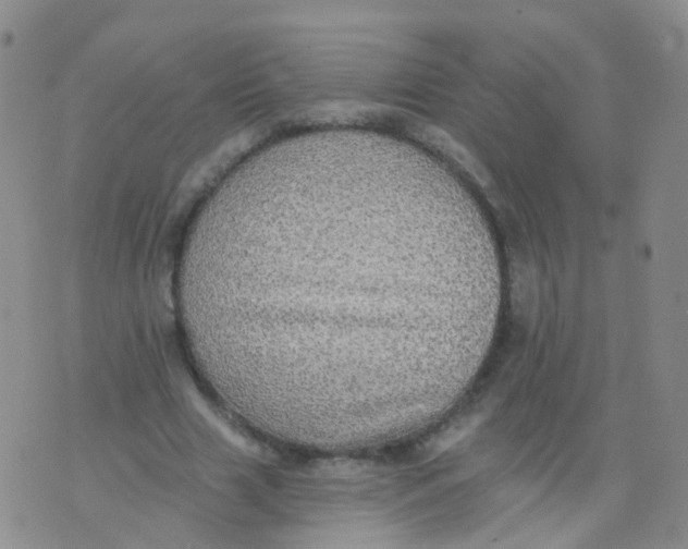 X0000076060633200610152203