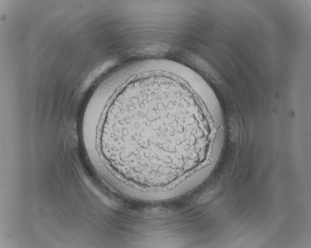 X0000076060634200610152203