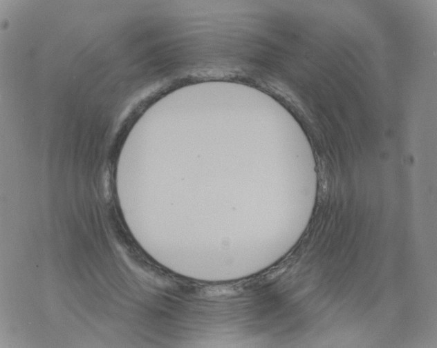 X0000076060636200610152203