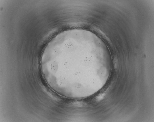 X0000076060637200610152203