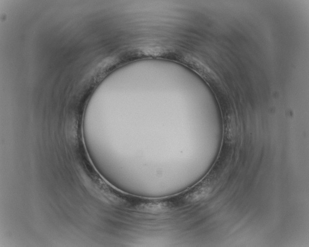 X0000076060639200610152203