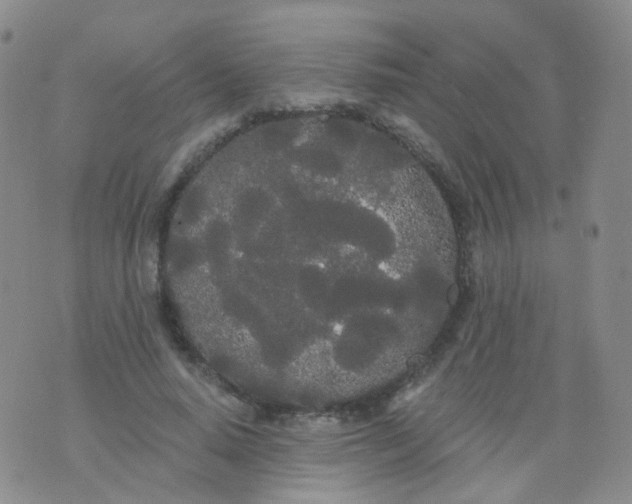 X0000076060640200610152203