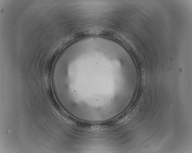 X0000076060641200610152203