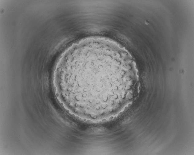 X0000076060642200610152203