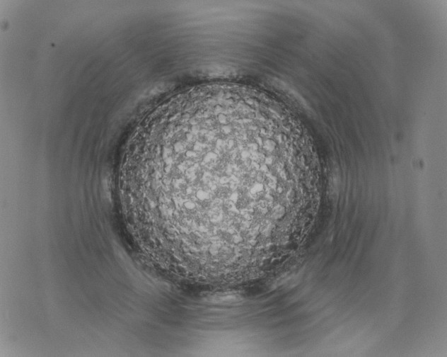 X0000076060643200610152203