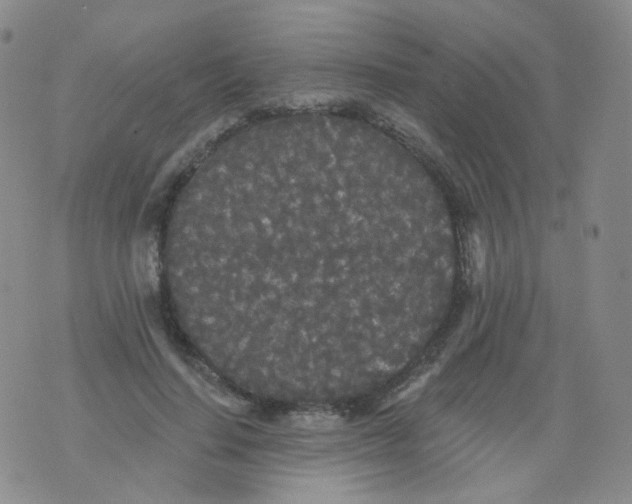 X0000076060644200610152203