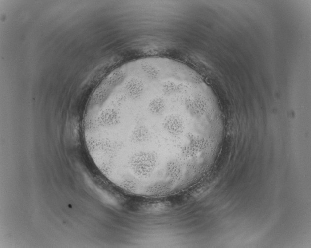 X0000076060646200610152203