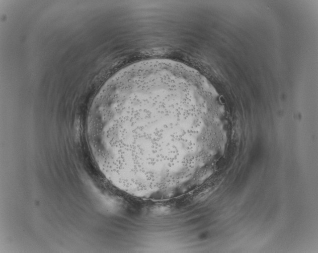 X0000076060647200610152203