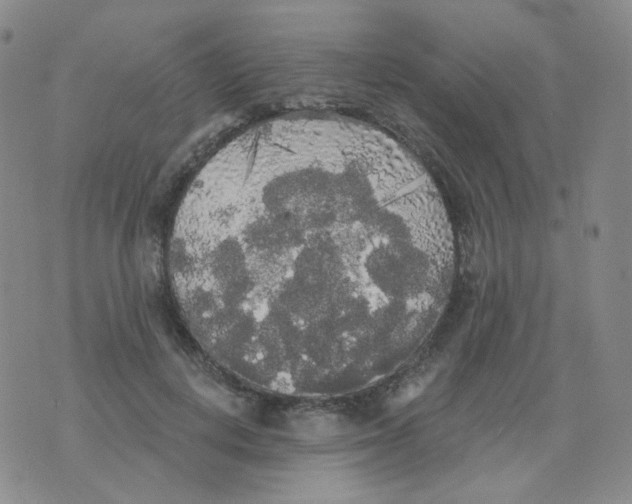 X0000076060648200610152203