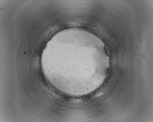 X0000076060649200610152203