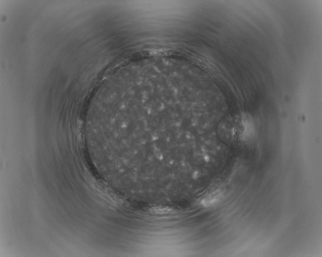 X0000076060650200610152203