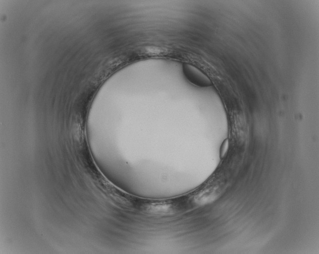 X0000076060651200610152203