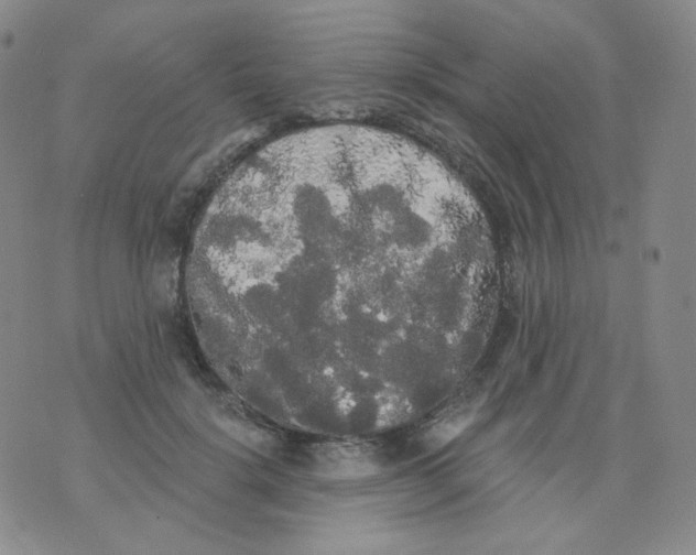 X0000076060652200610152203