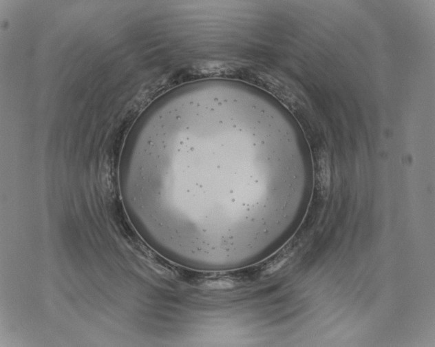 X0000076060653200610152203