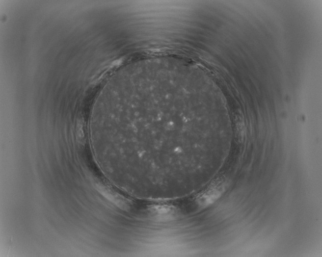 X0000076060654200610152204