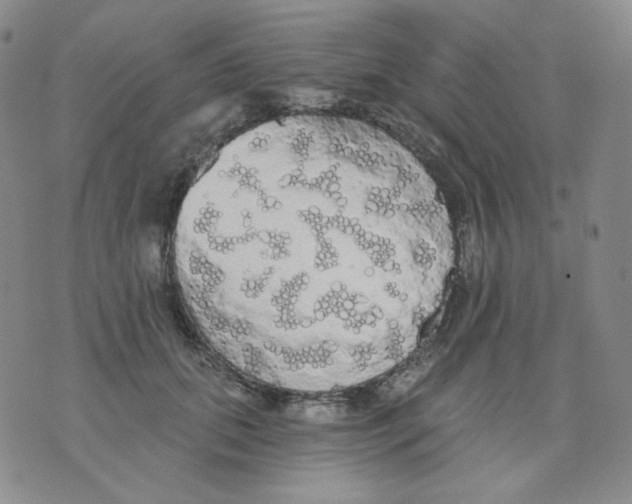 X0000076060655200610152204