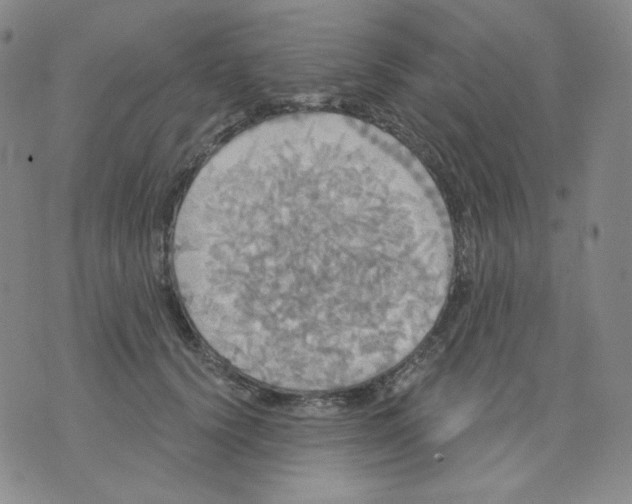 X0000076060656200610152204