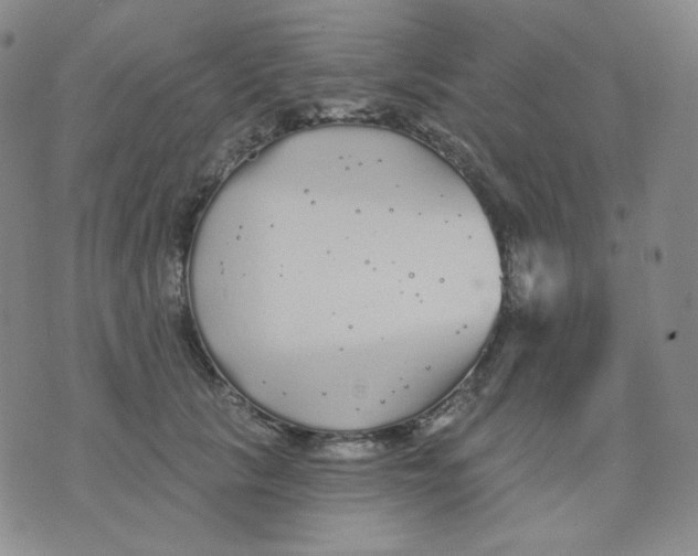 X0000076060657200610152204