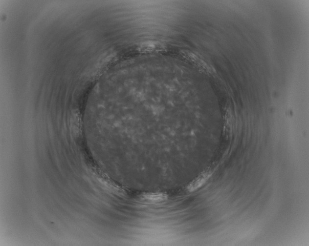 X0000076060659200610152204