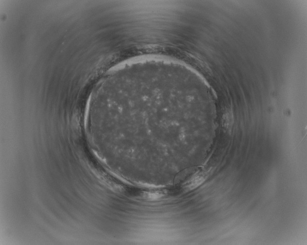 X0000076060662200610152204