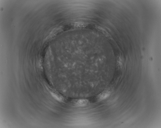 X0000076060663200610152204