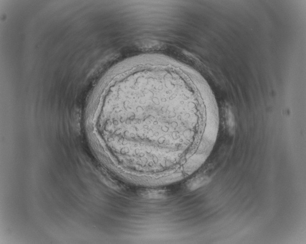 X0000076060664200610152204