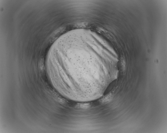 X0000076060665200610152204